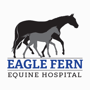 Eagle Fern Equine Hospital